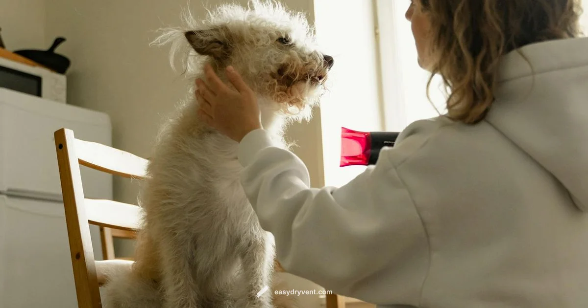 Duvet Dryer Guide - Easy DryVent