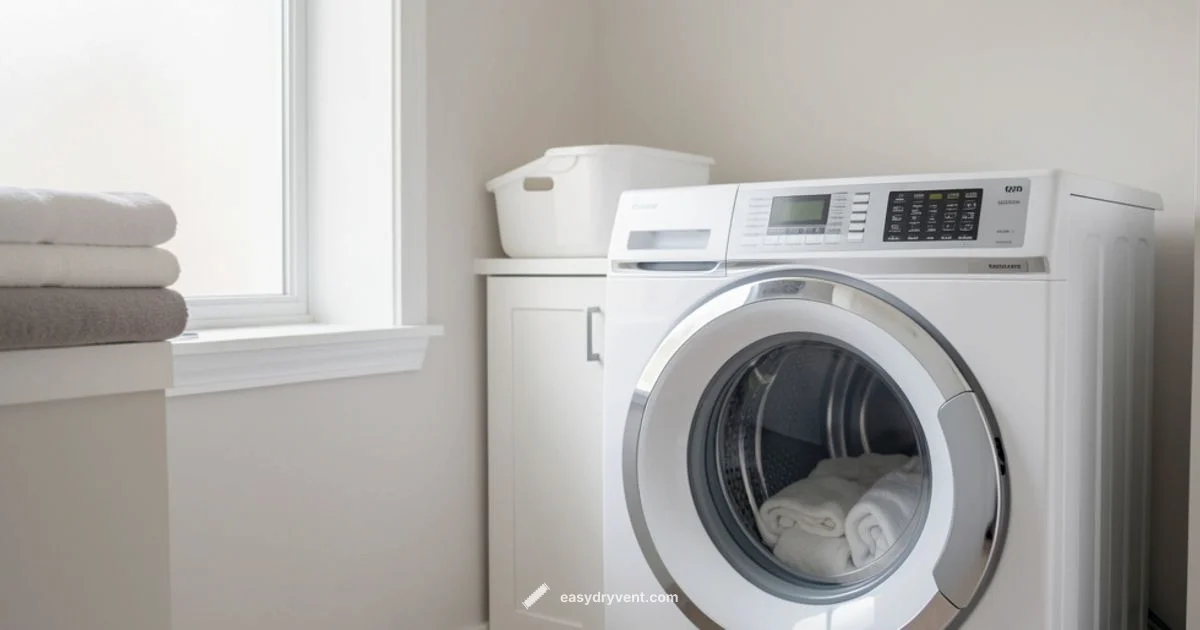 Dryer Maintenance - Easy DryVent
