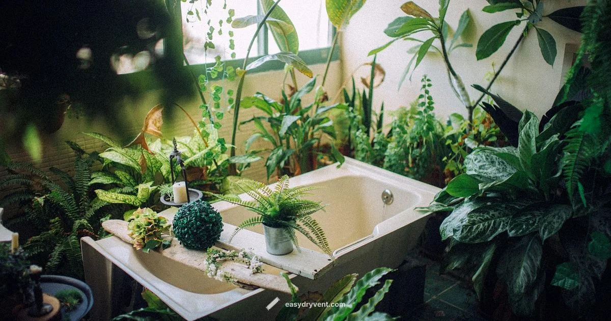 Panasonic Nano Dryer - Easy DryVent