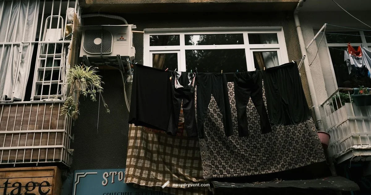 Compact Laundry Power - Easy DryVent