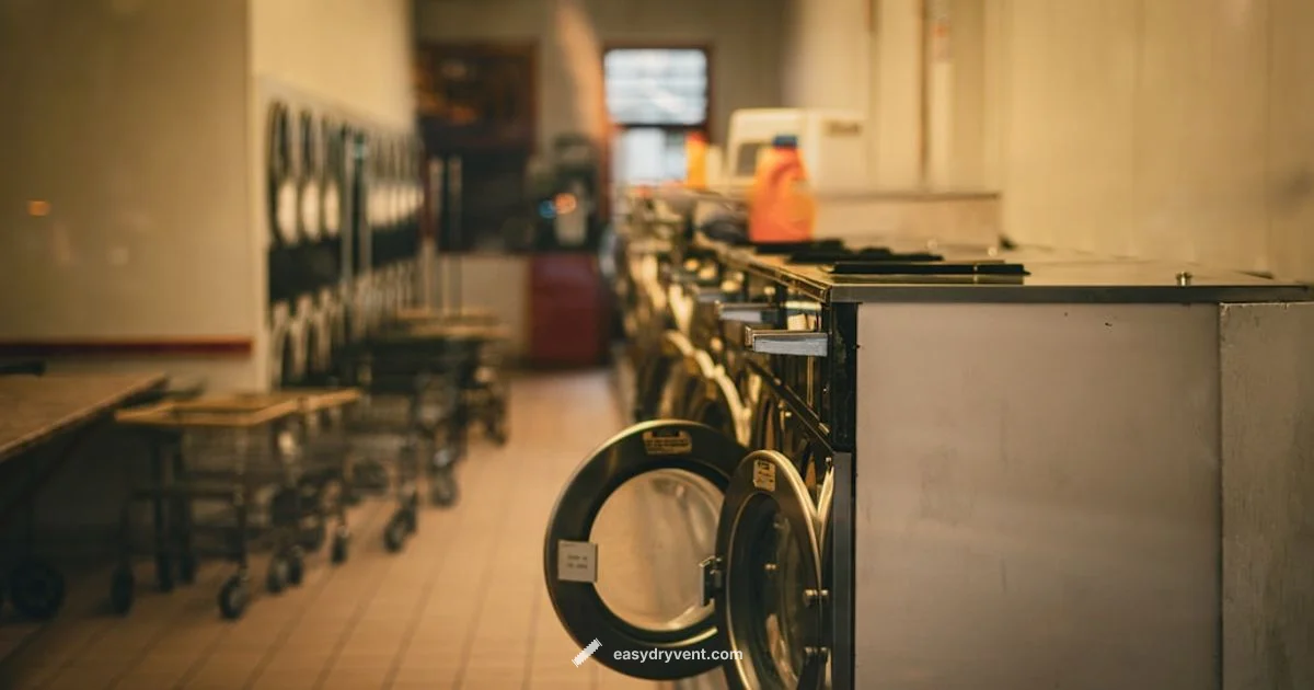 Dryer vs Spinner - Easy DryVent