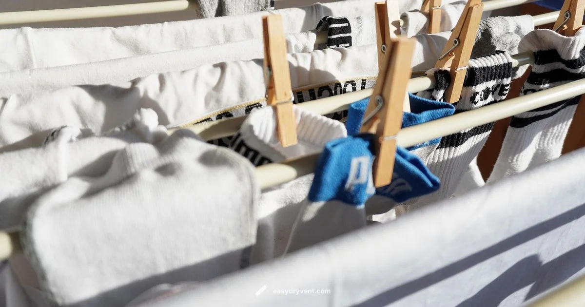 Declutter & Reuse - Easy DryVent