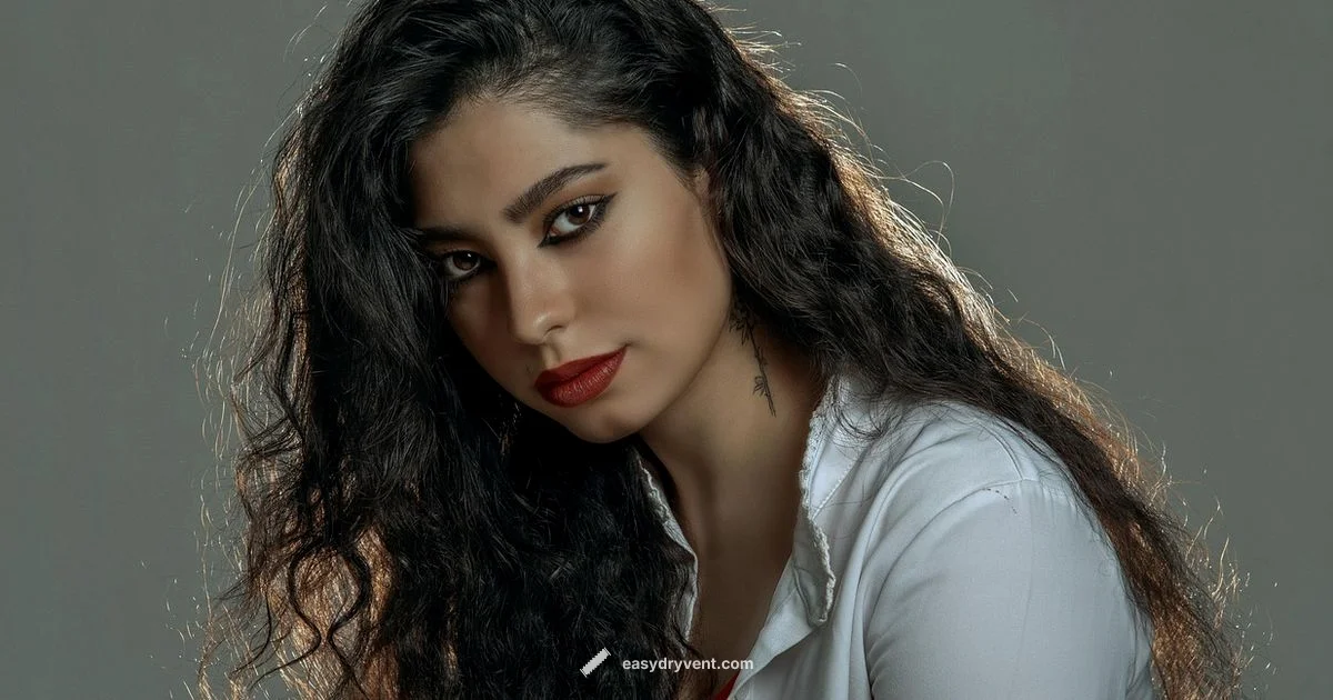 Ionic Dryer Guide - Easy DryVent