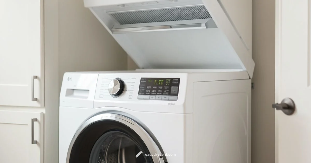 Steam Dryer Care Steam Dryer Care - Easy DryVent