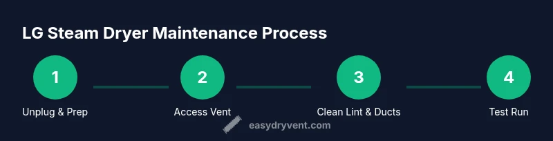 Process infographic showing LG steam dryer maintenance steps