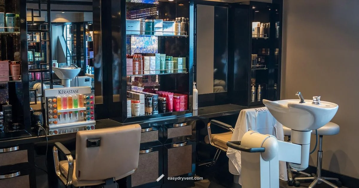 Best Pro Hair Dryer 2026 - Easy DryVent