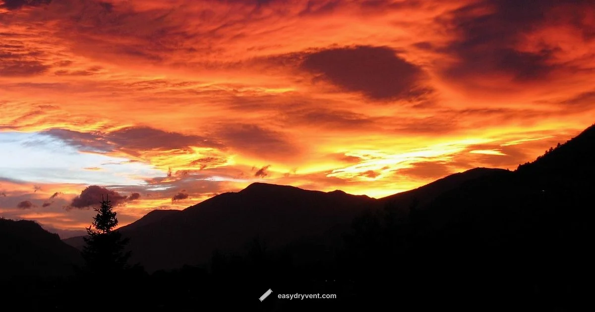 Blow Dryer Budget - Easy DryVent