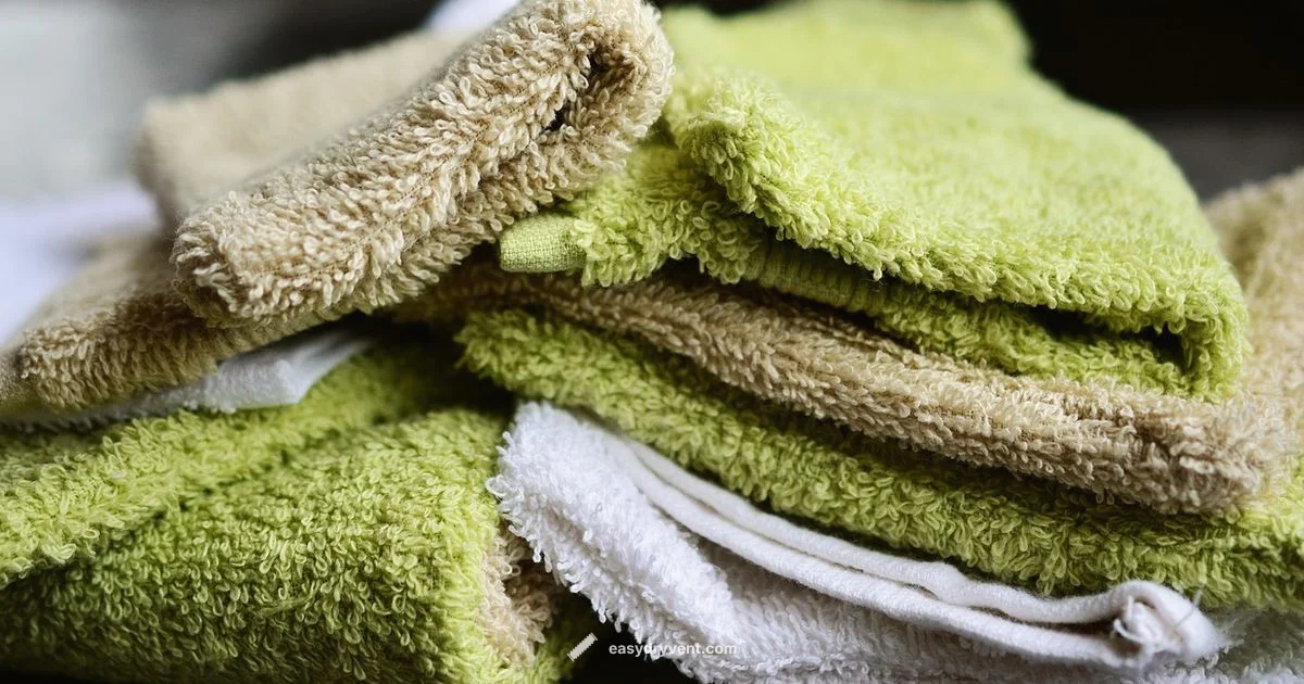 Dryer Sheets Softener Guide - Easy DryVent