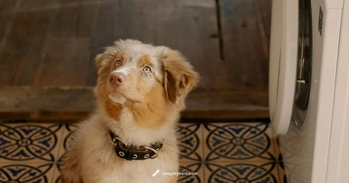 Fur-Free Laundry Fur-Free Laundry - Easy DryVent