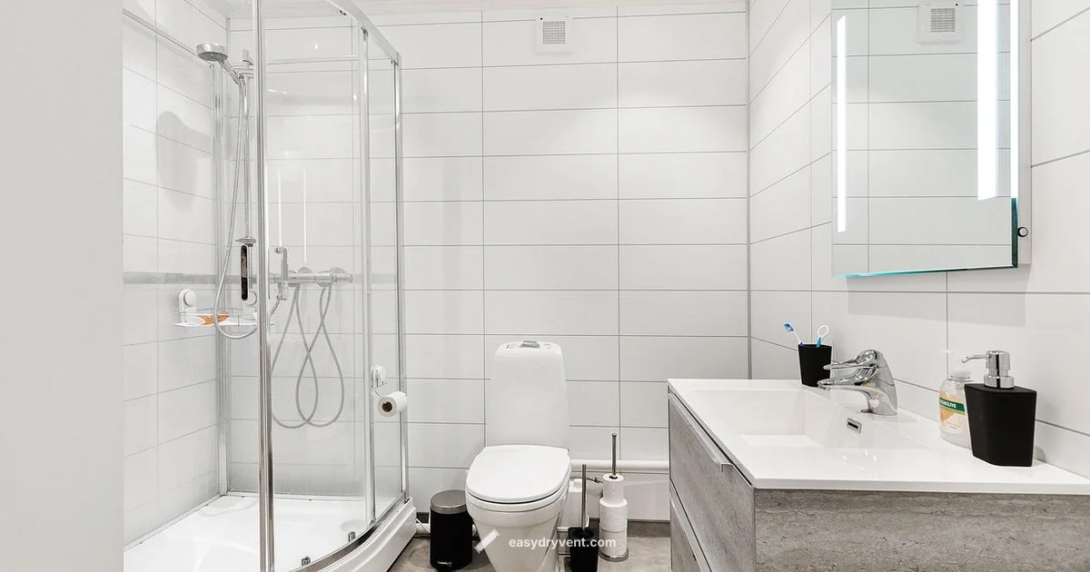 Hair Dryer Sale Deals - Easy DryVent