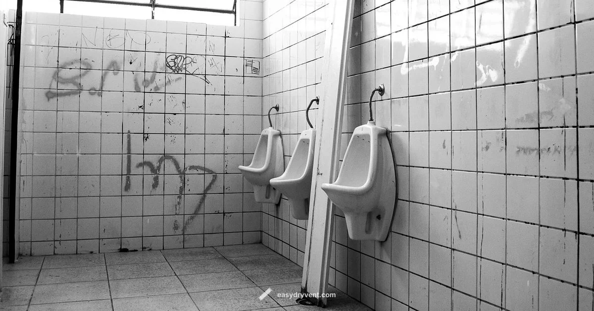 Ceramic Hair Dryer Guide - Easy DryVent