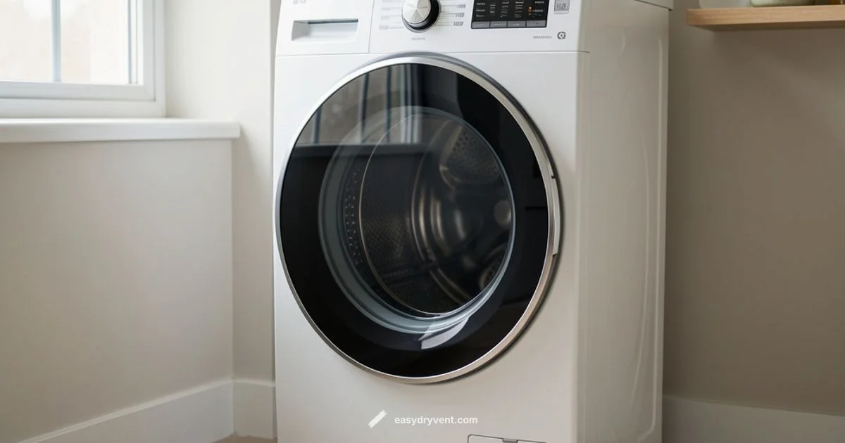 Common LG Dryer Fixes - Easy DryVent