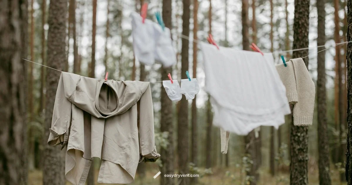 Safe Dryer Maintenance Safe Dryer Maintenance - Easy DryVent