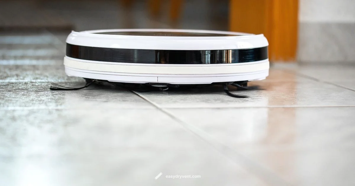 Carpet Care Guide - Easy DryVent