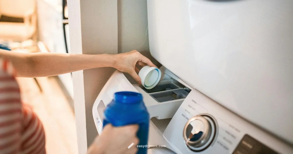 Best LG Dryer Guide - Easy DryVent