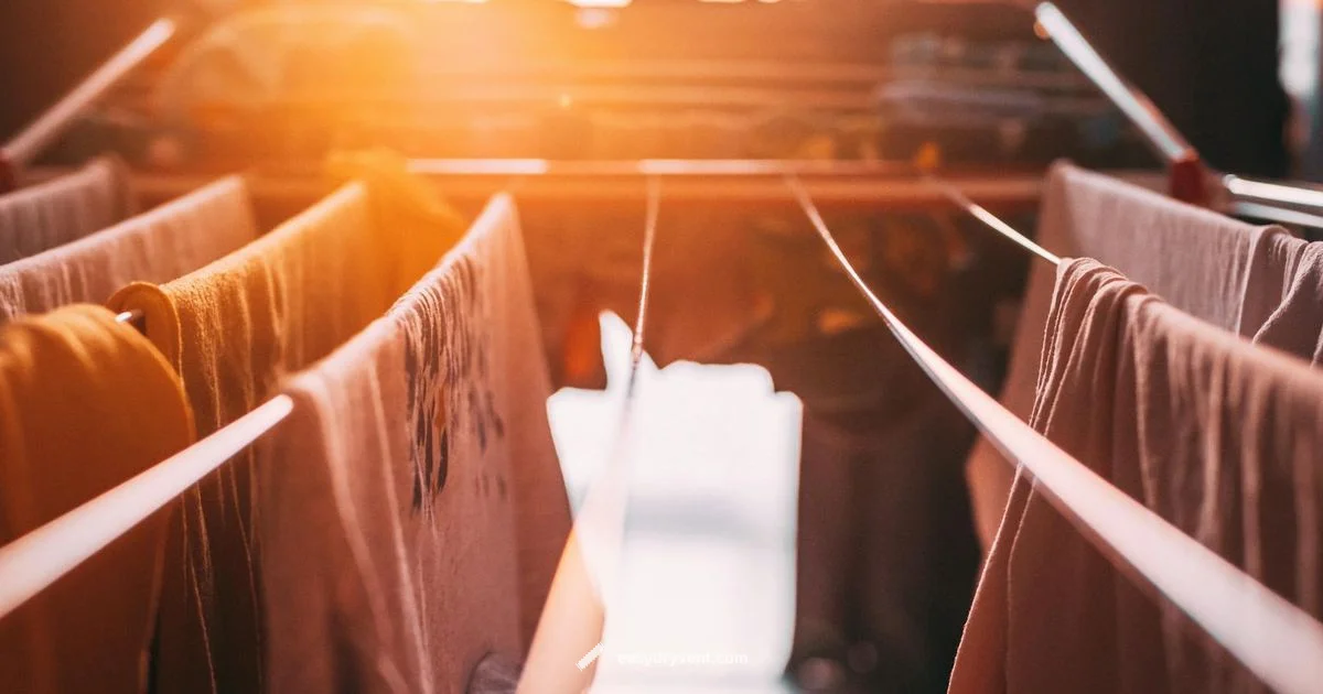 Dryer Sheet Guide - Easy DryVent