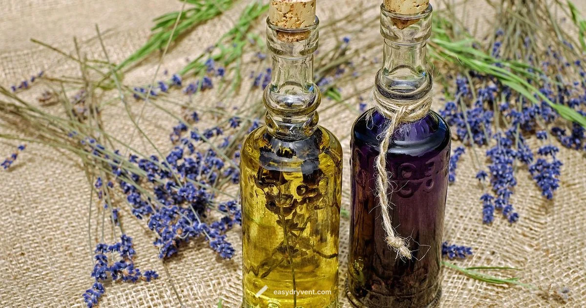 DIY Dryer Sheets - Easy DryVent