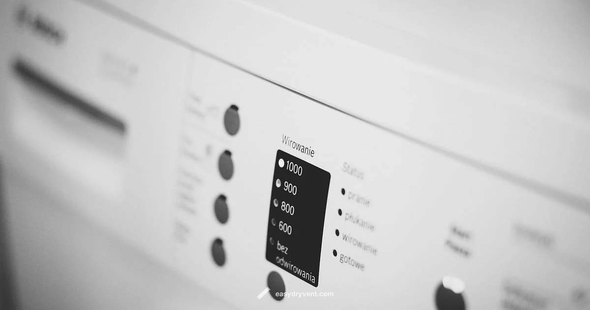 Lint in Dryers - Easy DryVent