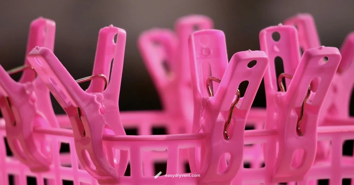 Washer Dryer Maintenance - Easy DryVent