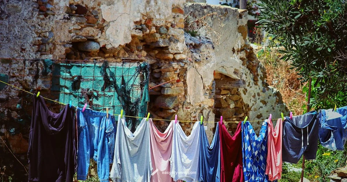 Dryer Sheet Myth Bust - Easy DryVent