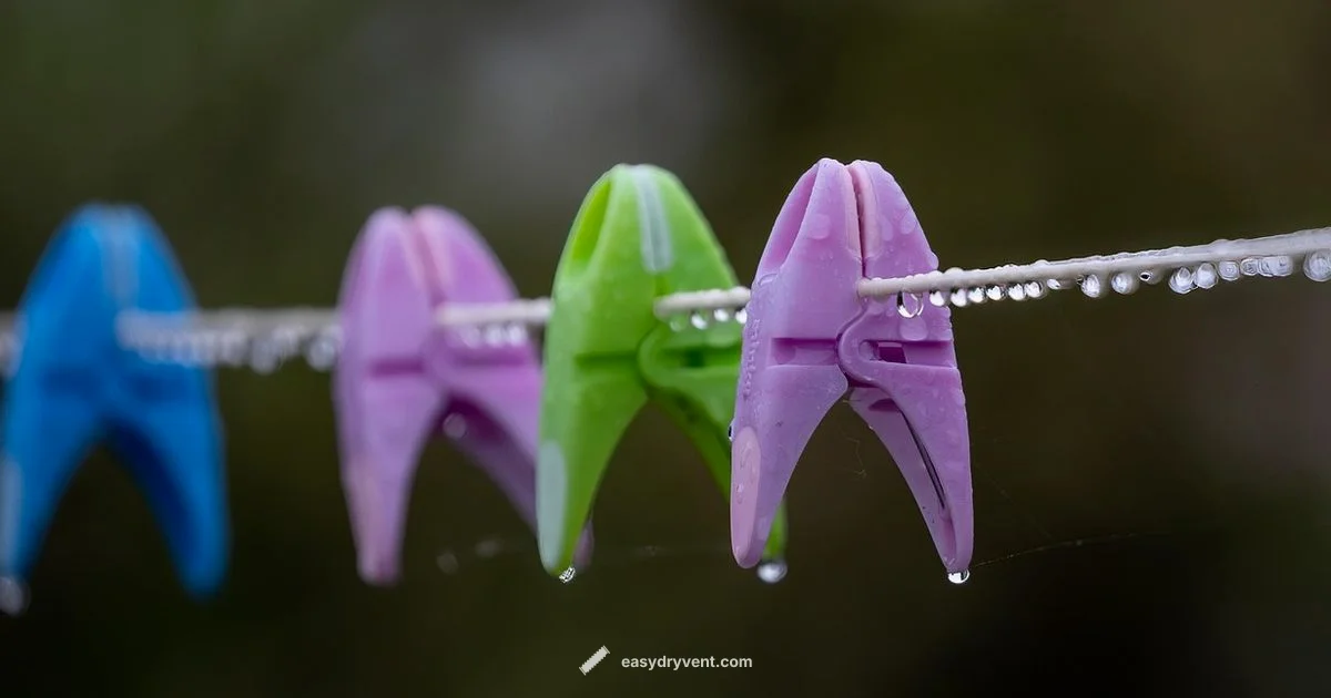 Dryer Wet Exposure - Easy DryVent