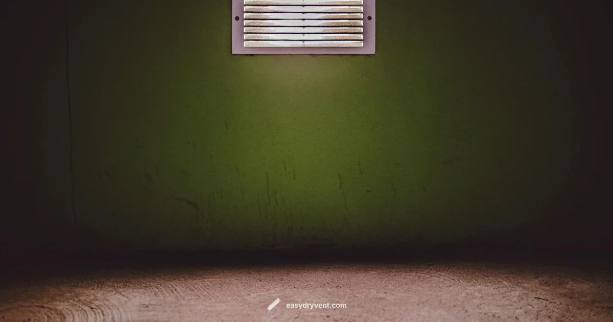 Dryer Maintenance - Easy DryVent