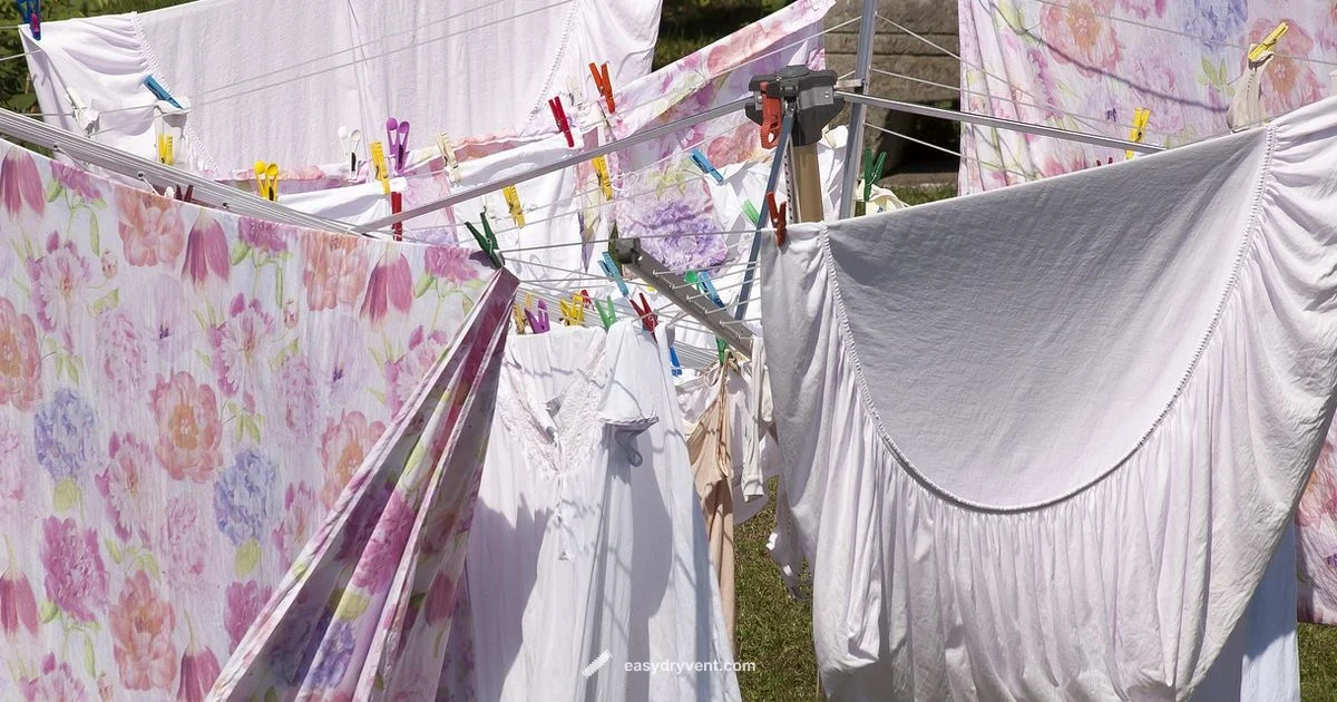 Dryer Sheets Guide - Easy DryVent