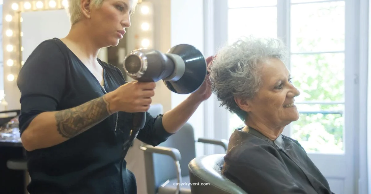 Best Hair Dryers India - Easy DryVent