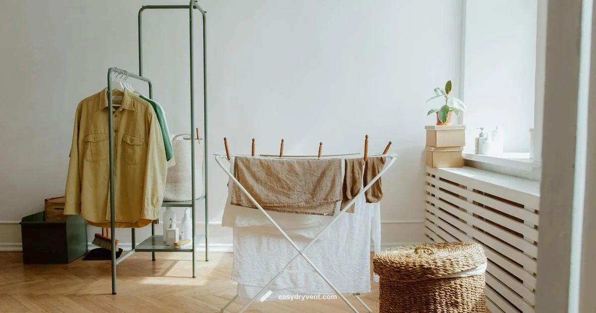 Vent Health Check - Easy DryVent