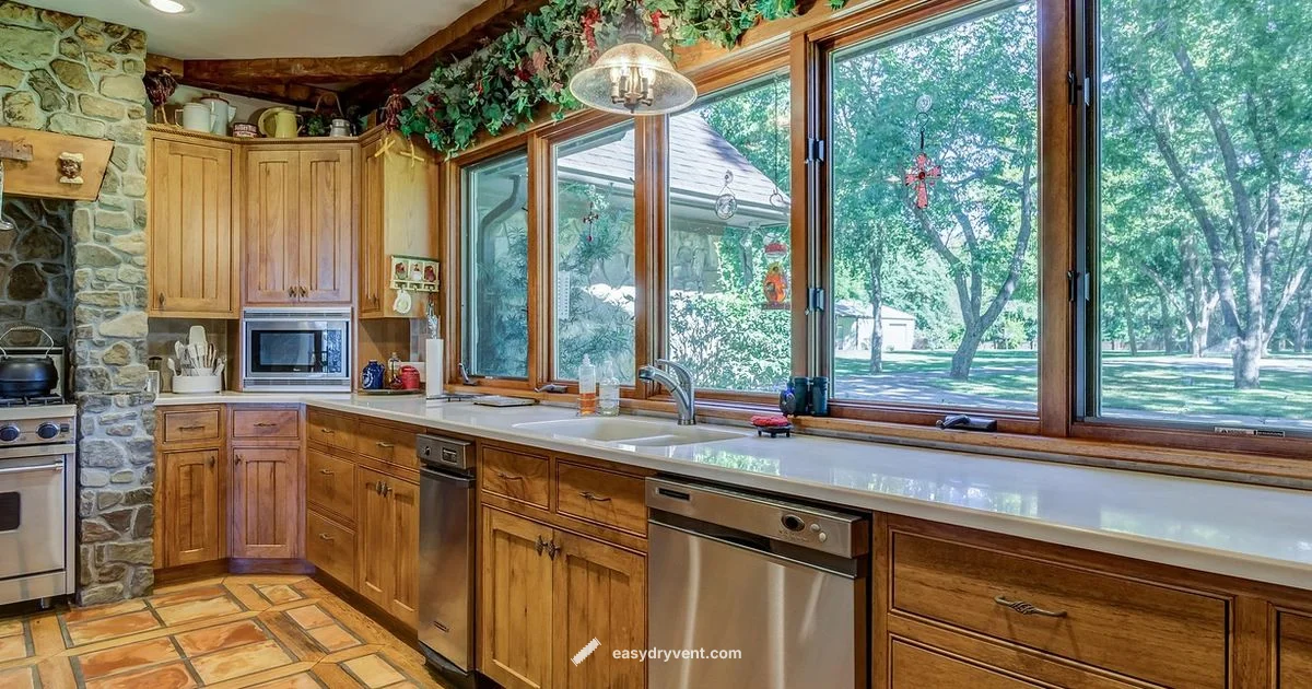 Find & Clean Filter - Easy DryVent