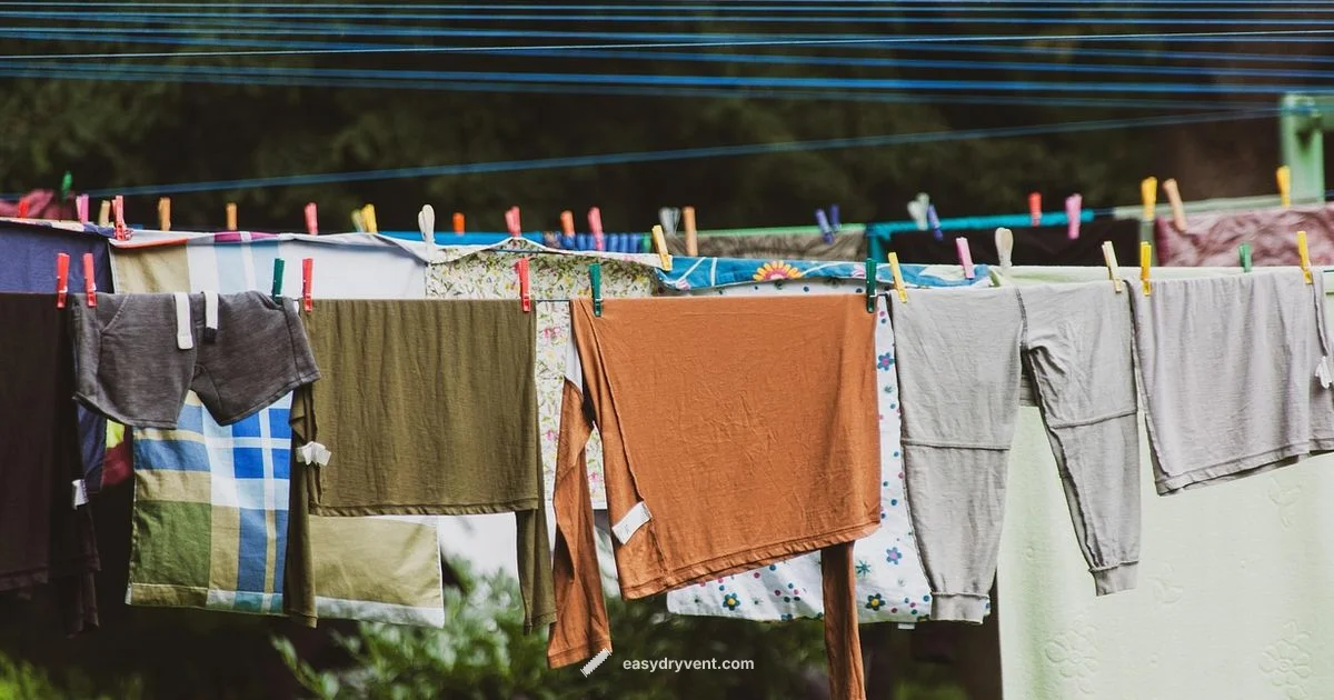 Dryer Bacteria Guide - Easy DryVent