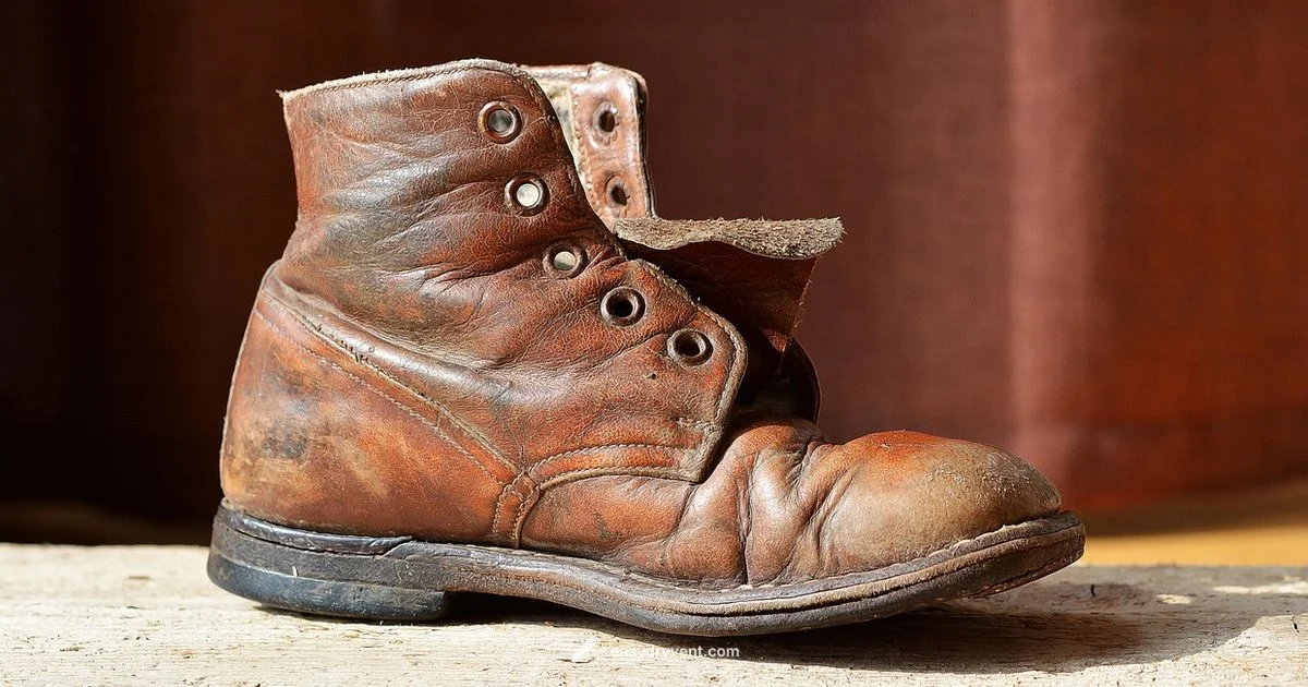 Dryer Shoe Guide - Easy DryVent