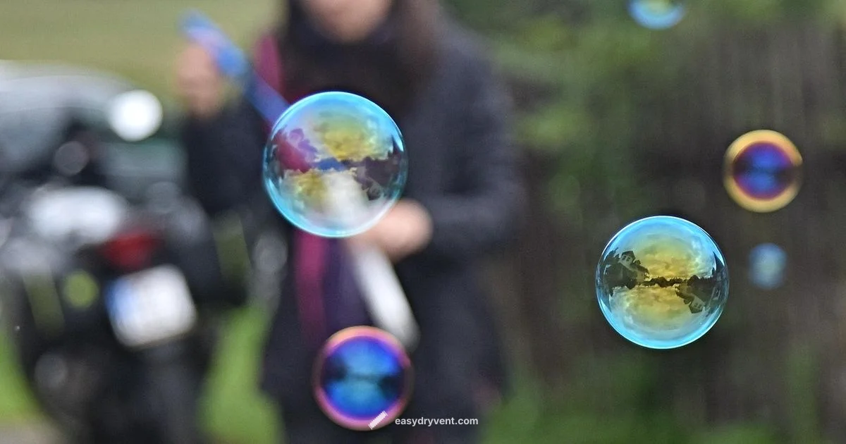 Blower Dryer Guide - Easy DryVent