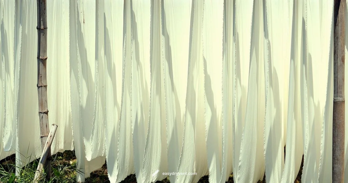 Who Invented the Dryer - Easy DryVent