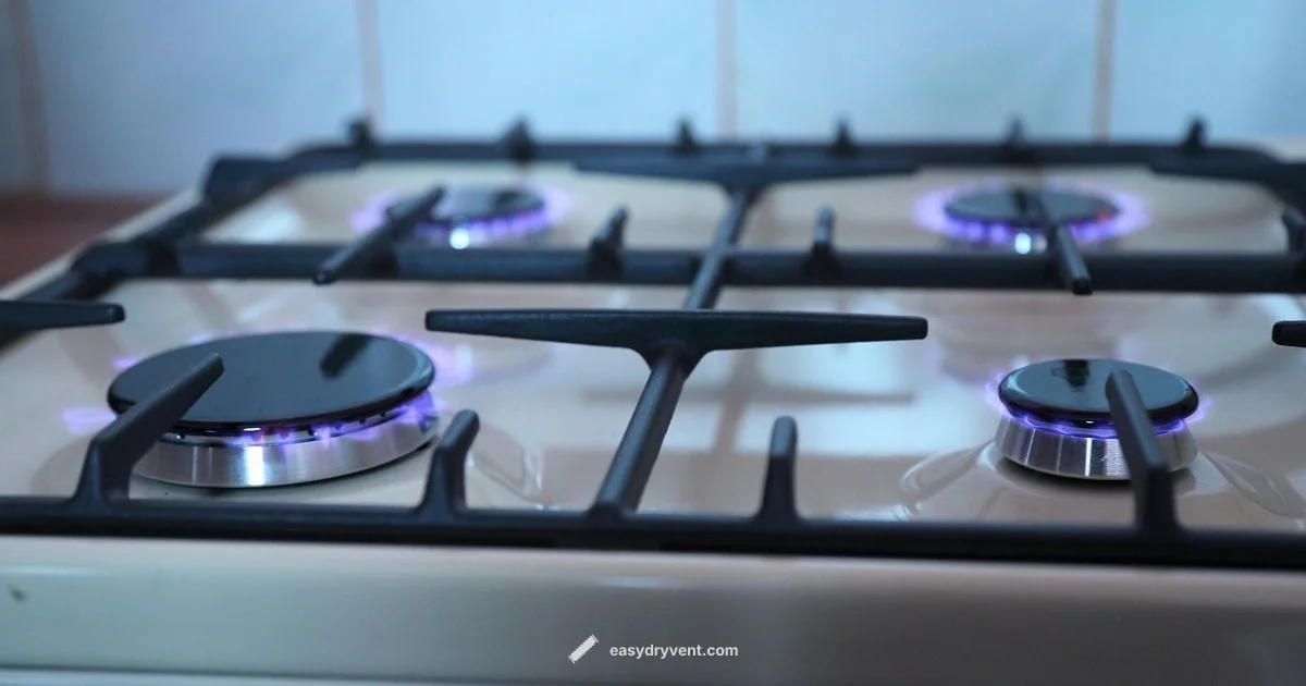 Gas Dryer Install Costs Gas Dryer Install Costs - Easy DryVent