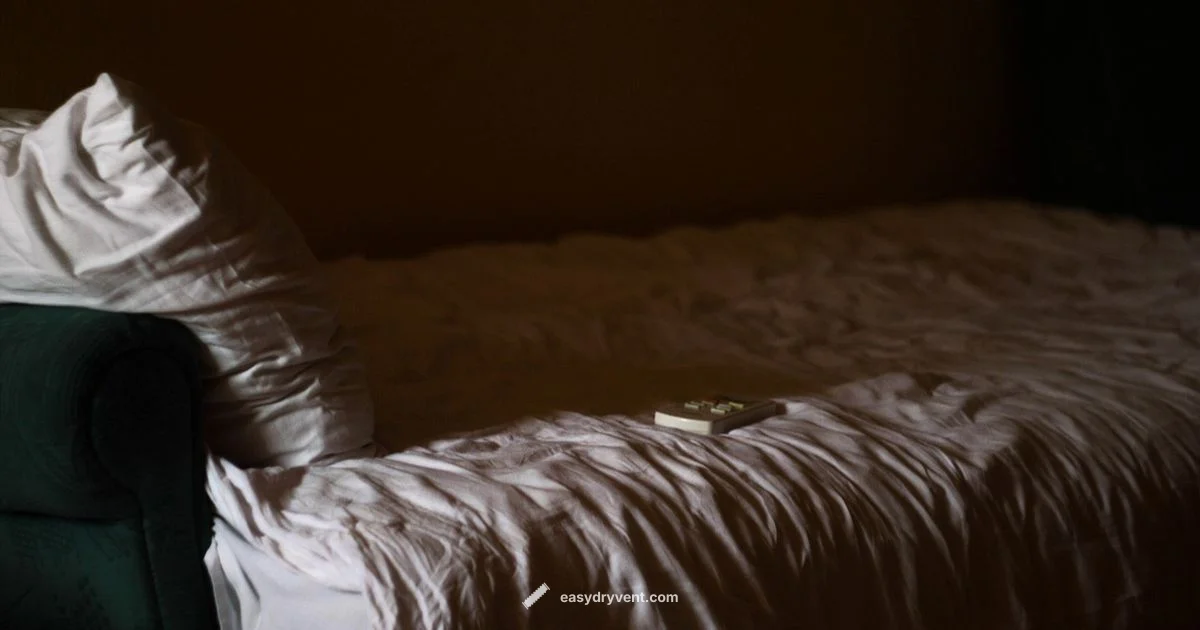 Dryer Sheet Essentials - Easy DryVent