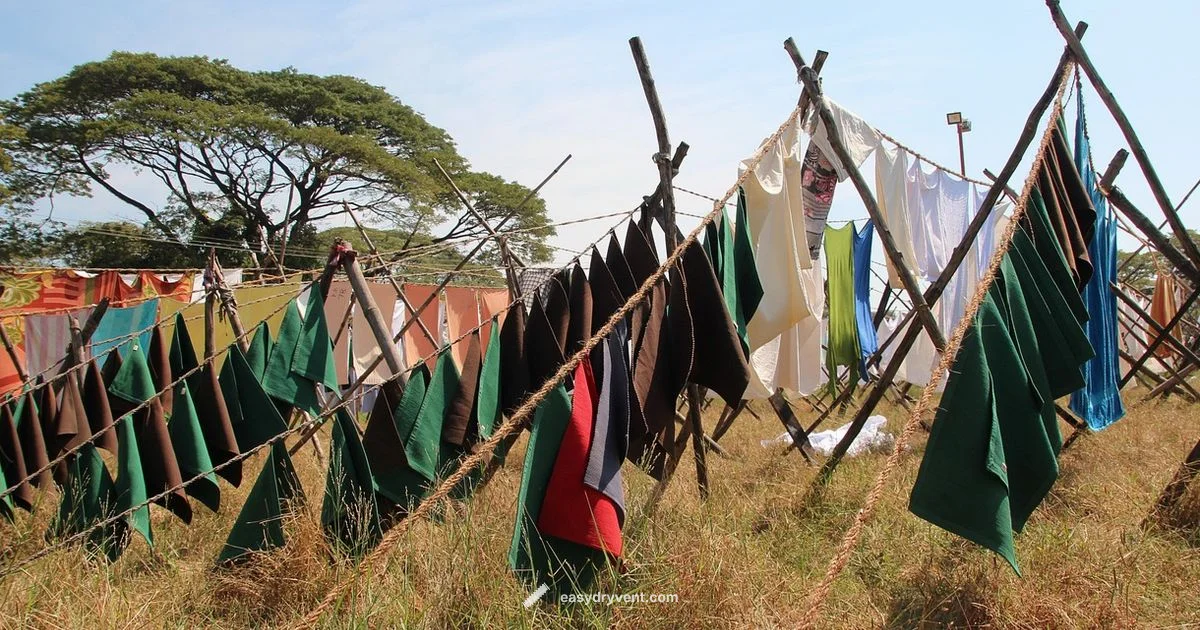 Dryer Balls Guide - Easy DryVent