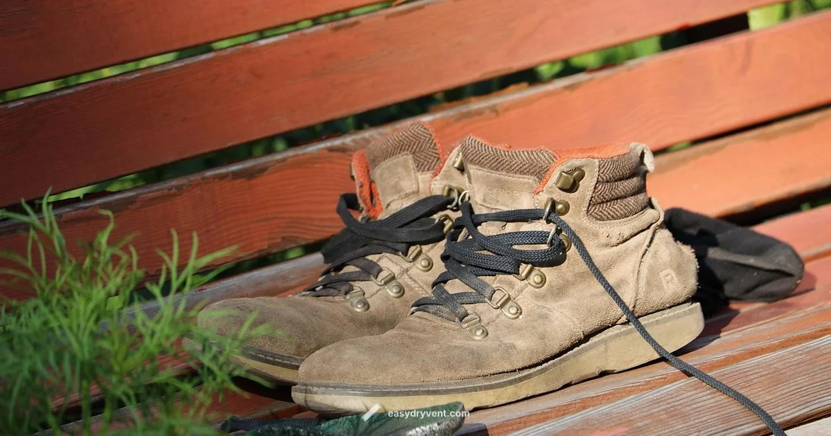 Dryer for Shoes - Easy DryVent