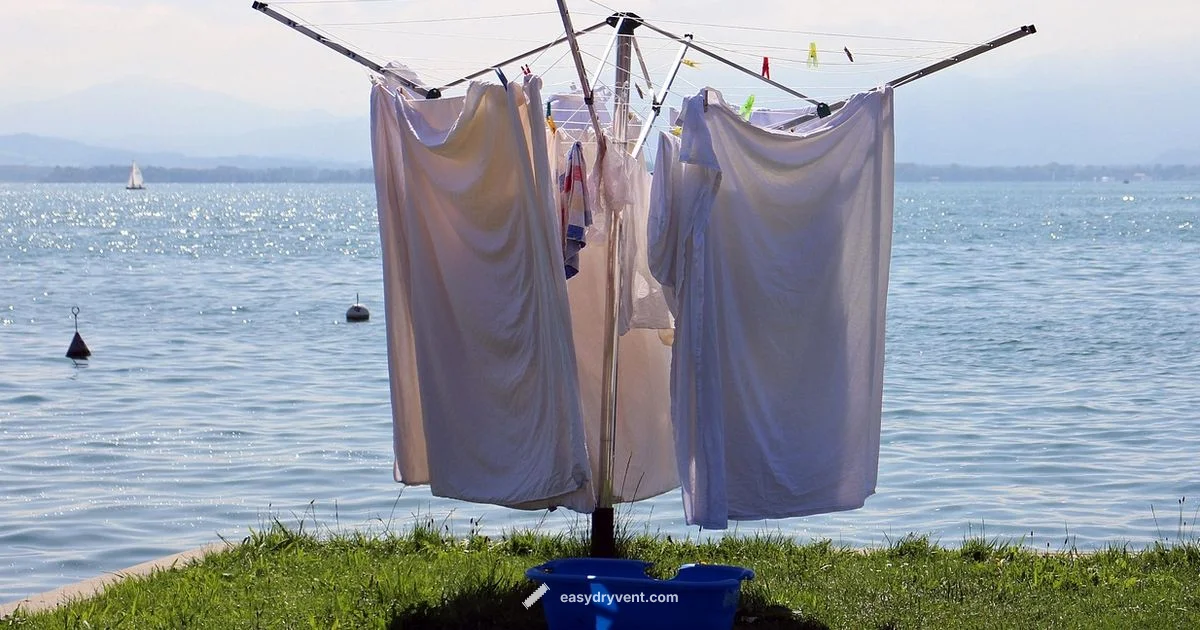 Weather and Drying - Easy DryVent