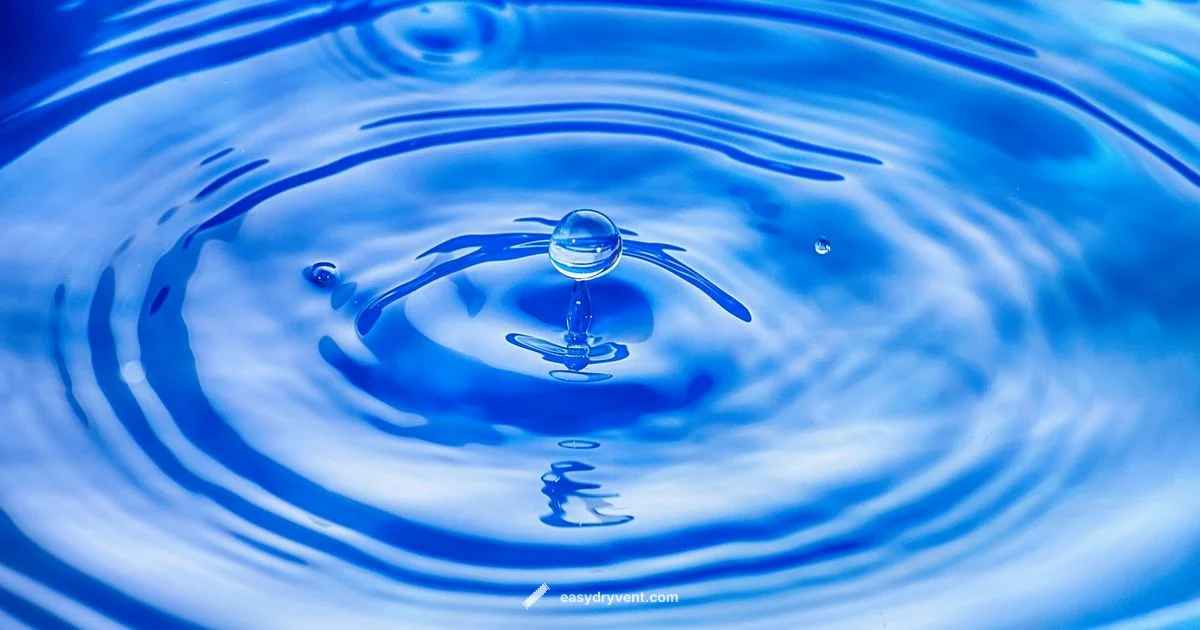 Dryer Water Leak - Easy DryVent