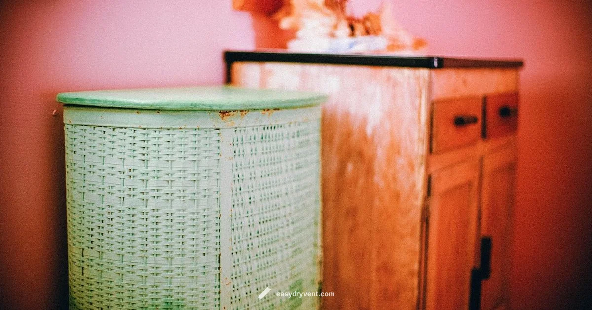 Dryer Damage Prevention Dryer Damage Prevention - Easy DryVent