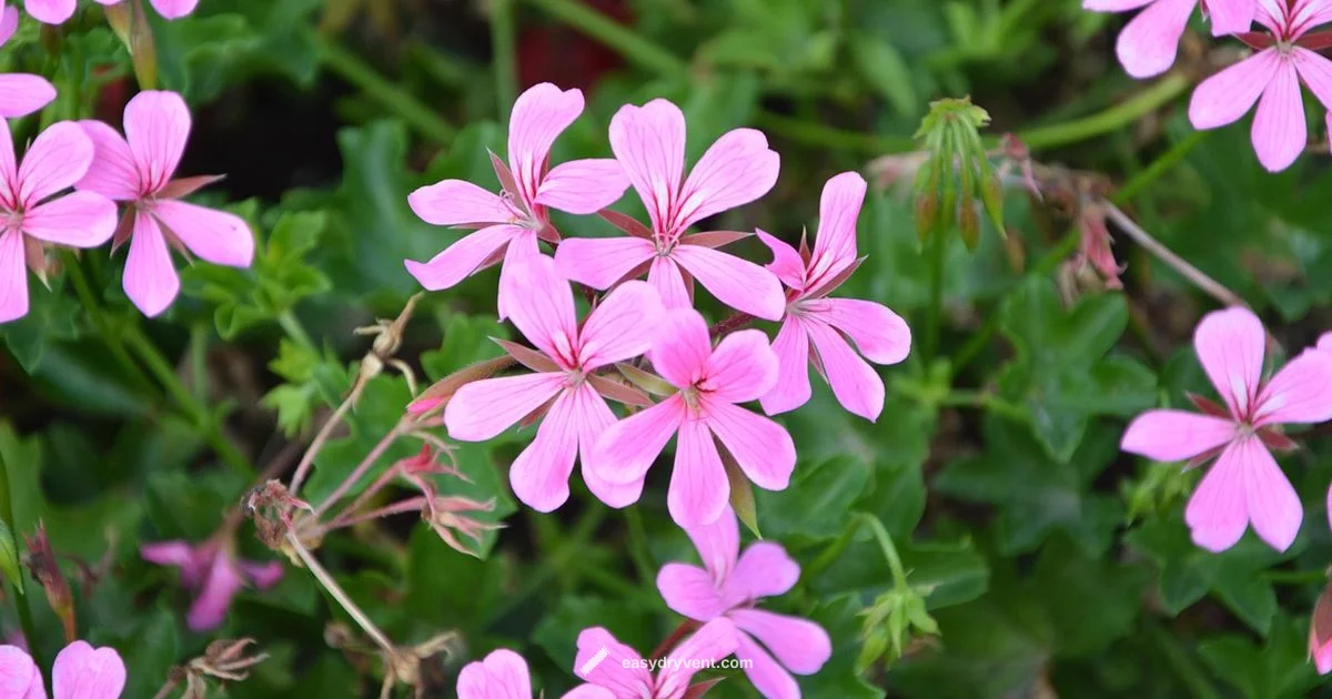 Dryer Sheet Myth - Easy DryVent