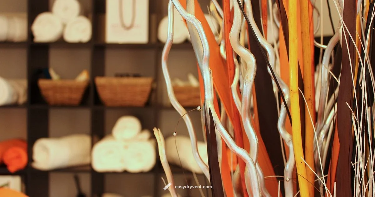 Best Hair Dryers 2026 - Easy DryVent