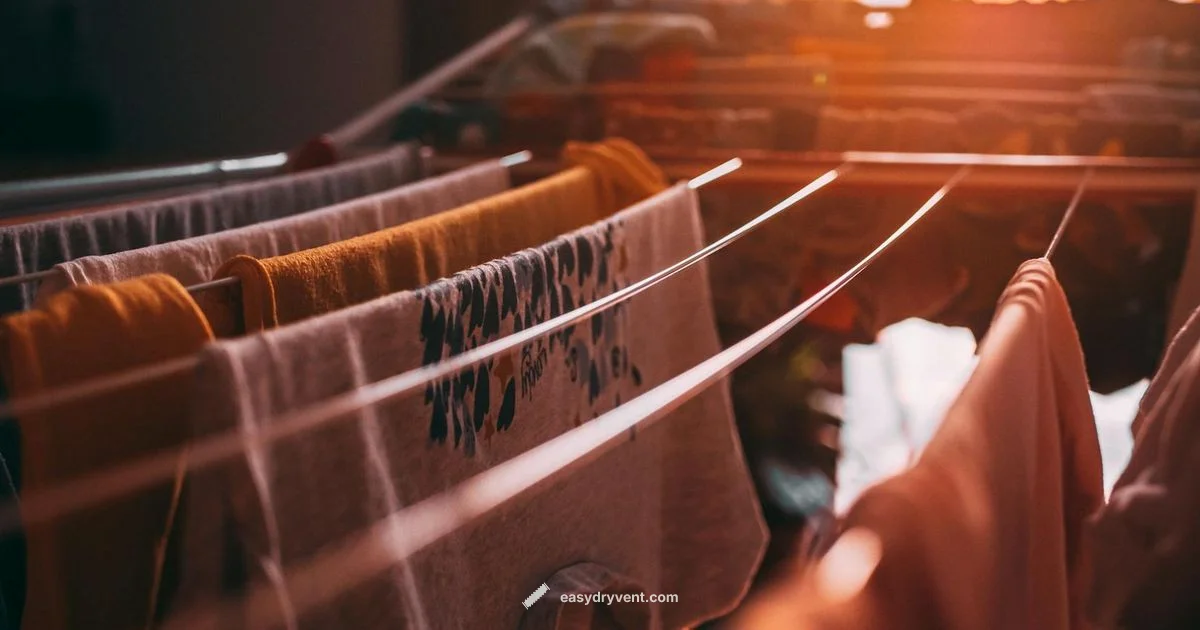 Used Dryer Sheets Tips - Easy DryVent