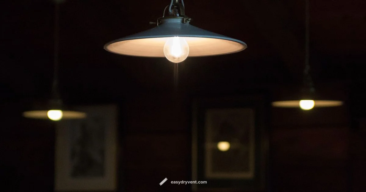 Dryer Bulb Basics - Easy DryVent