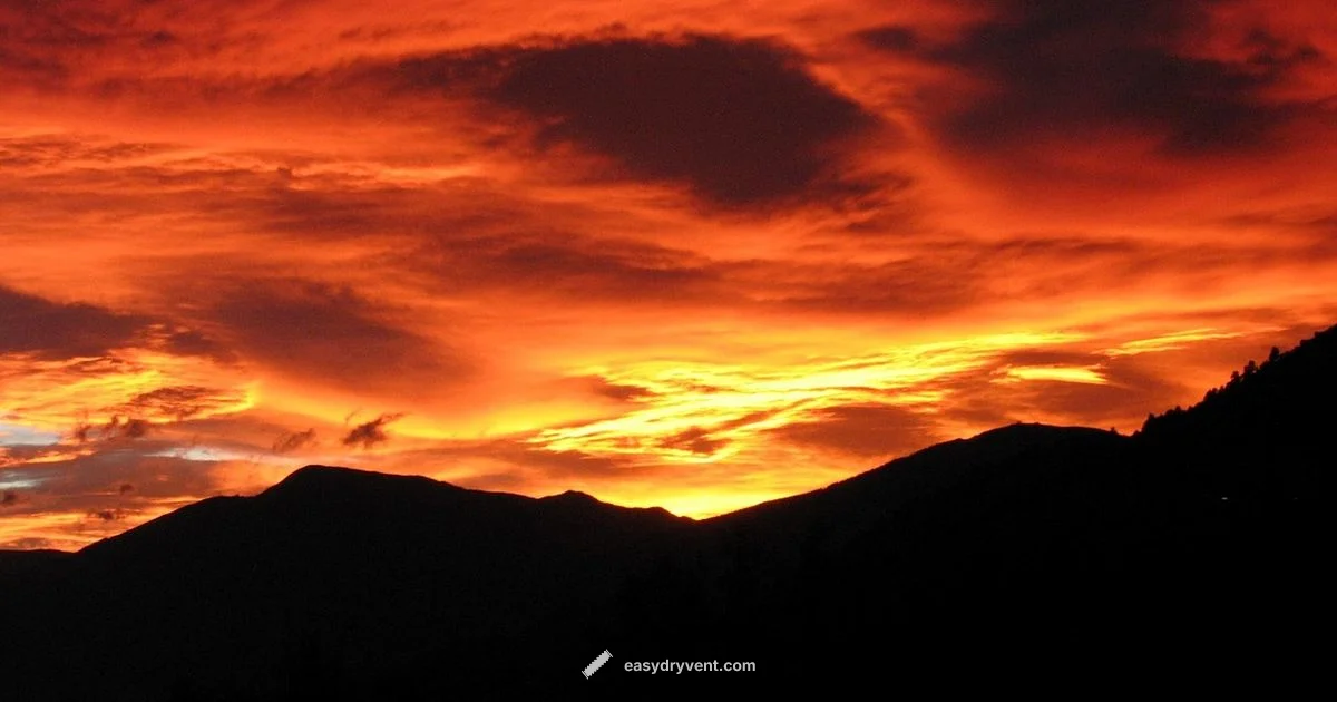 Best Blow Dryer Guide Best Blow Dryer Guide - Easy DryVent