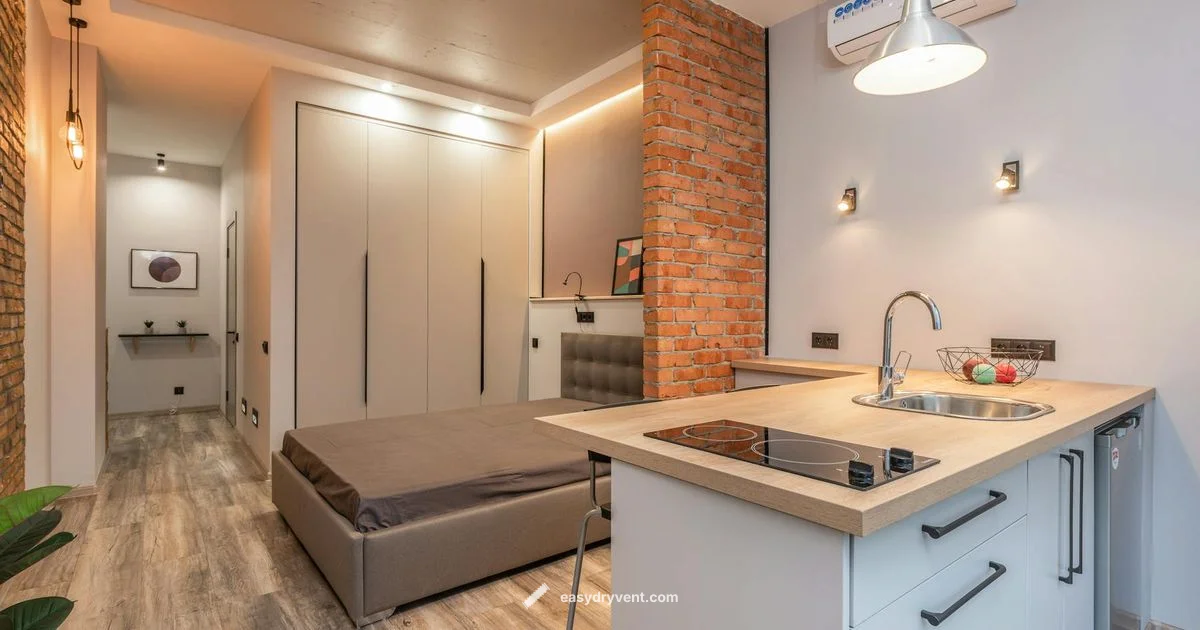 Dryer in Japan - Easy DryVent