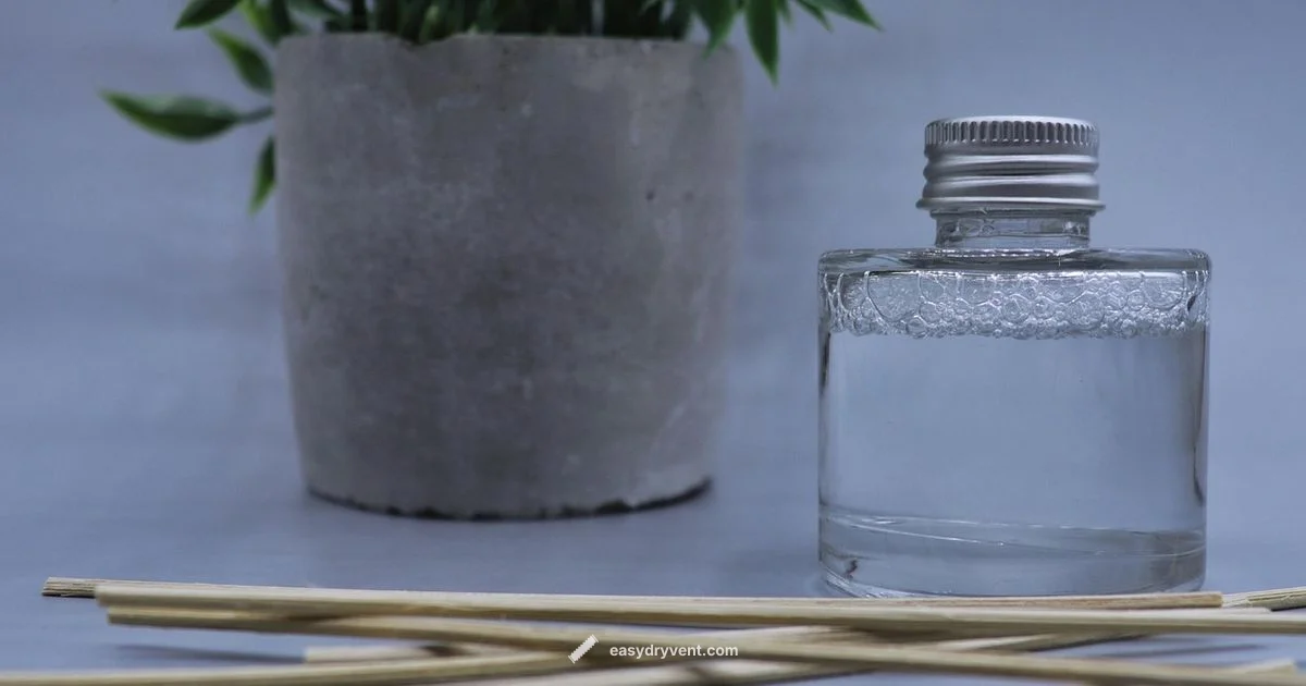 Hair Diffuser Guide - Easy DryVent