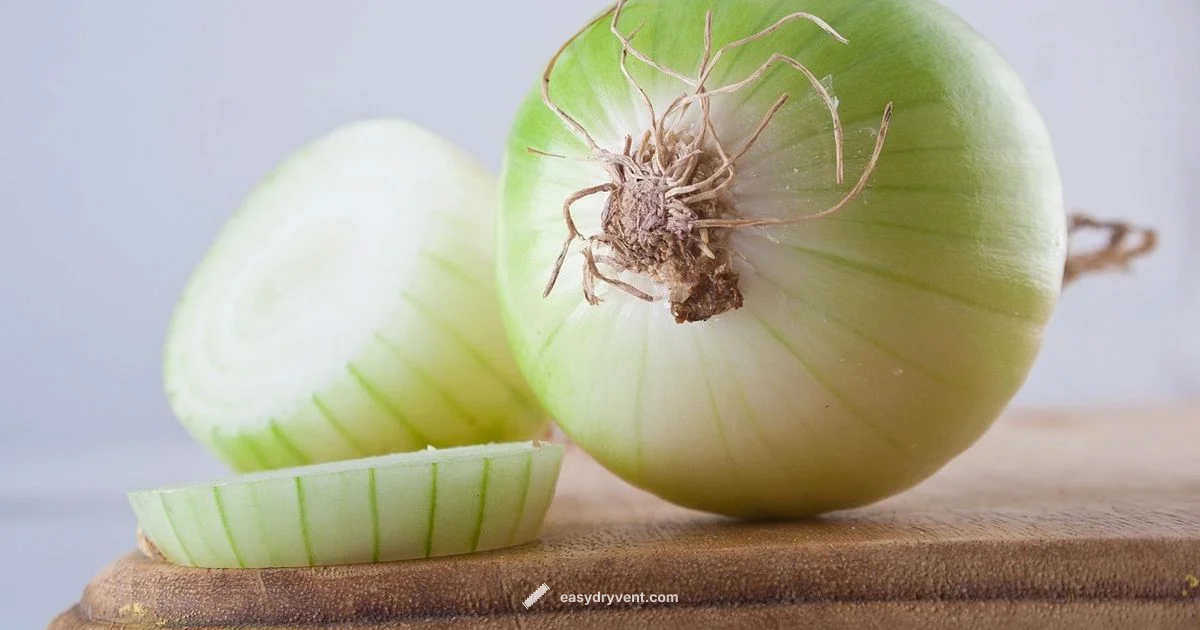 Dry Onion Flakes Dry Onion Flakes - Easy DryVent
