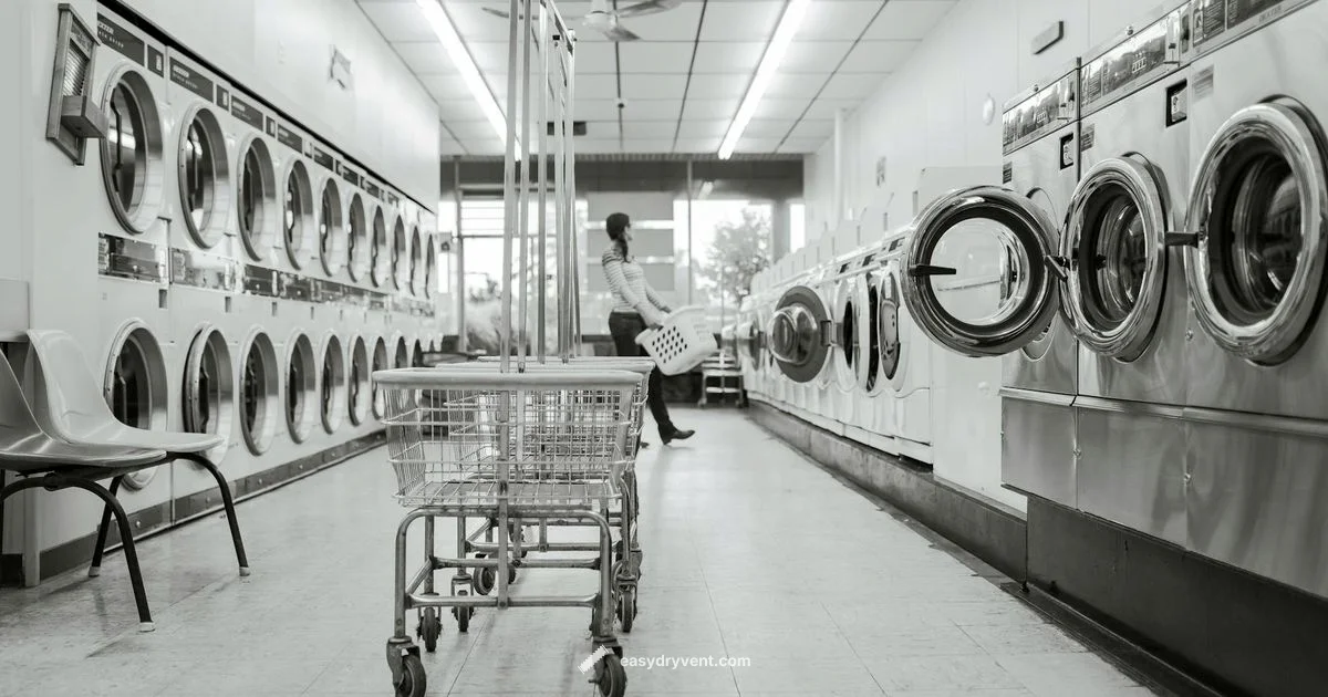 Dryer Stains - Easy DryVent